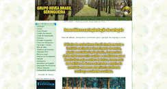 Desktop Screenshot of heveabrasil.com